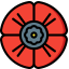 Poppy icon 64x64