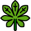 Leaf icon 64x64