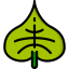 Leaf icon 64x64