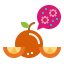 Orange icon 64x64