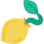 Seed icon 64x64