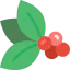 Berries icon 64x64