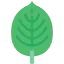Leaf icon 64x64