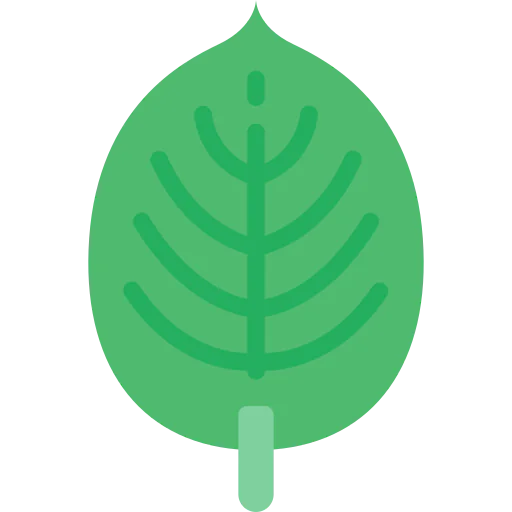 Leaf icon