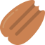 Pecan icon 64x64
