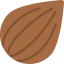 Seed icon 64x64