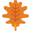 Oak leaf іконка 64x64