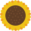 Sunflower icon 64x64