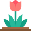Tulip icon 64x64