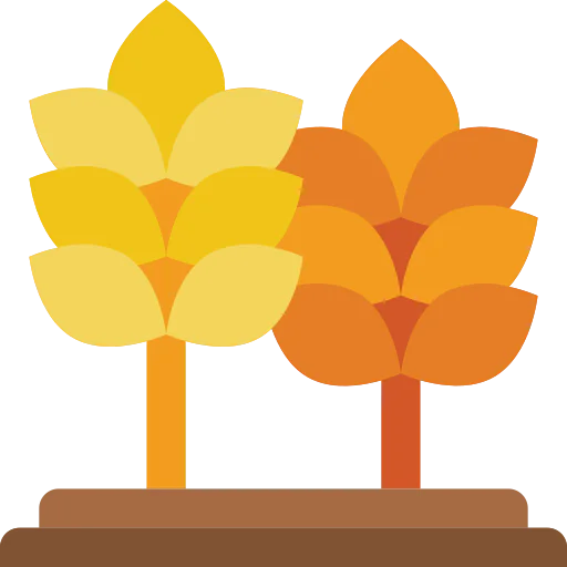 Wheat icon