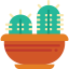 Cactus icon 64x64