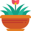 Flower icon 64x64