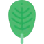 Leaf icon 64x64
