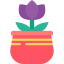 Tulip icon 64x64