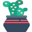 Cactus icon 64x64