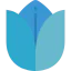 Tulip icon 64x64