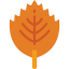 Leaf icon 64x64