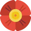 Poppy icon 64x64