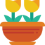 Tulips icon 64x64