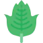 Leaf icon 64x64
