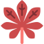 Leaf icon 64x64