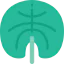 Leaf icon 64x64