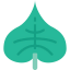 Leaf icon 64x64