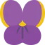Viola icon 64x64