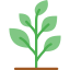Plant icon 64x64