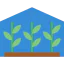 Greenhouse icon 64x64