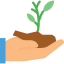 Sprout icon 64x64