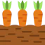 Carrots icon 64x64