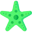 Starfish icon 64x64