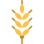 Wheat icon 64x64