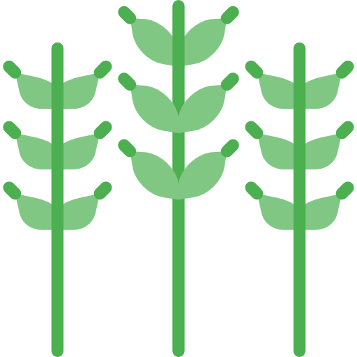 Grains icon