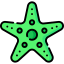 Starfish icon 64x64
