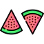 Watermelon icon 64x64