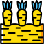 Carrots icon 64x64