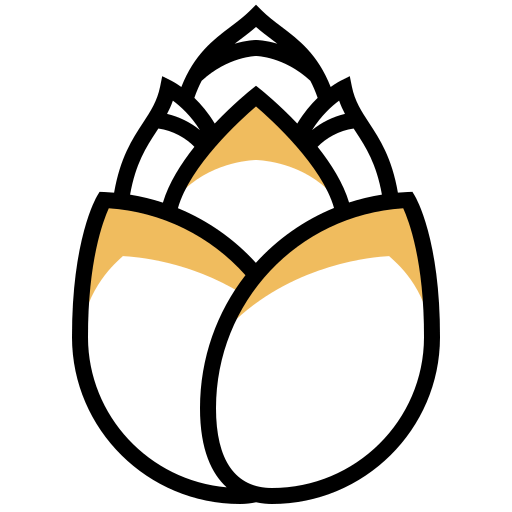 Lotus icon