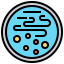 Bacteria icon 64x64