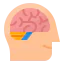 Brain icon 64x64