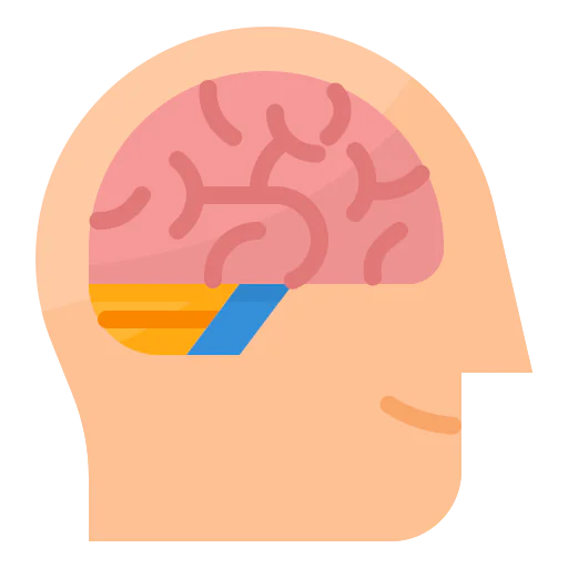 Brain icon