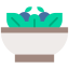 Salad icon 64x64