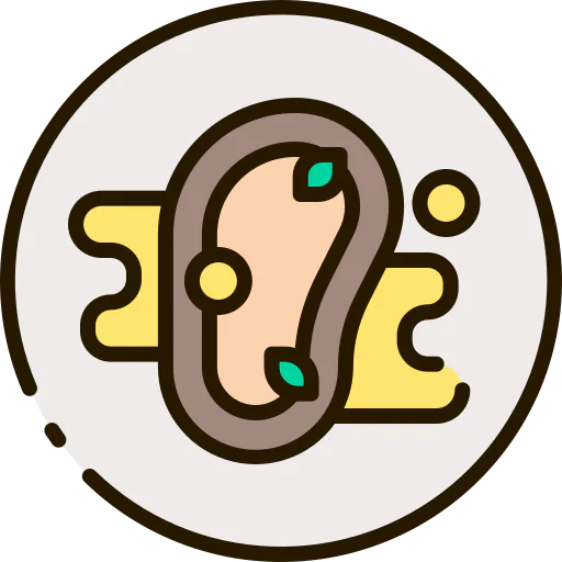 Steak icon