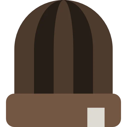 Accessory icon