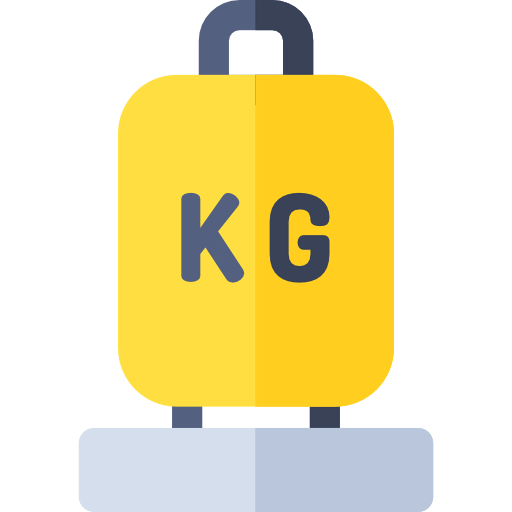 Scale icon