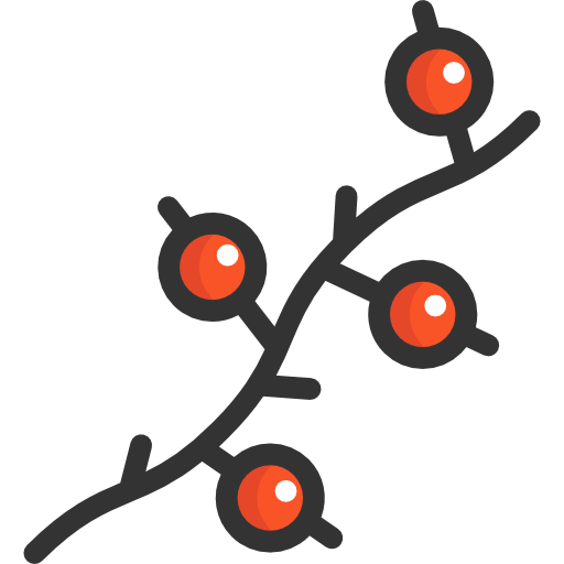 Berries icon