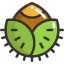 Nut icon 64x64