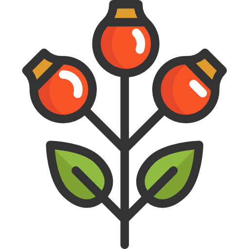 Roses icon