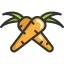 Carrots icon 64x64